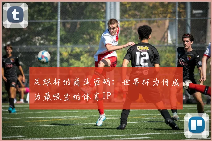 足球杯的商业密码：世界杯为何成为最吸金的体育IP