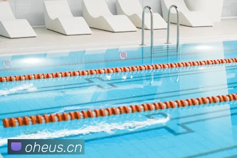 App Interface Preview