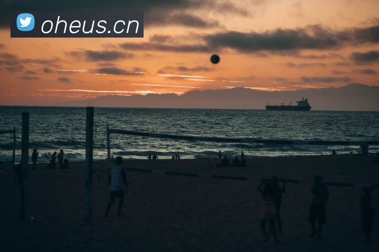 leyu乐鱼手机网页版APP 封面图